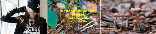 ALPHA PVP Беломорск