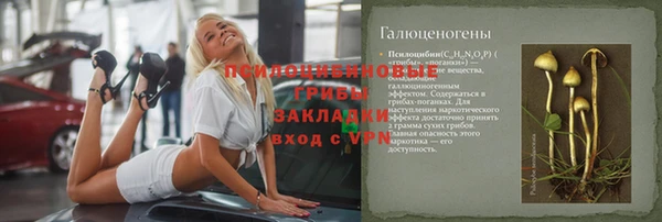 дживик Богородицк