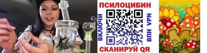 продажа наркотиков  Пятигорск  OMG сайт  Галлюциногенные грибы мухоморы 