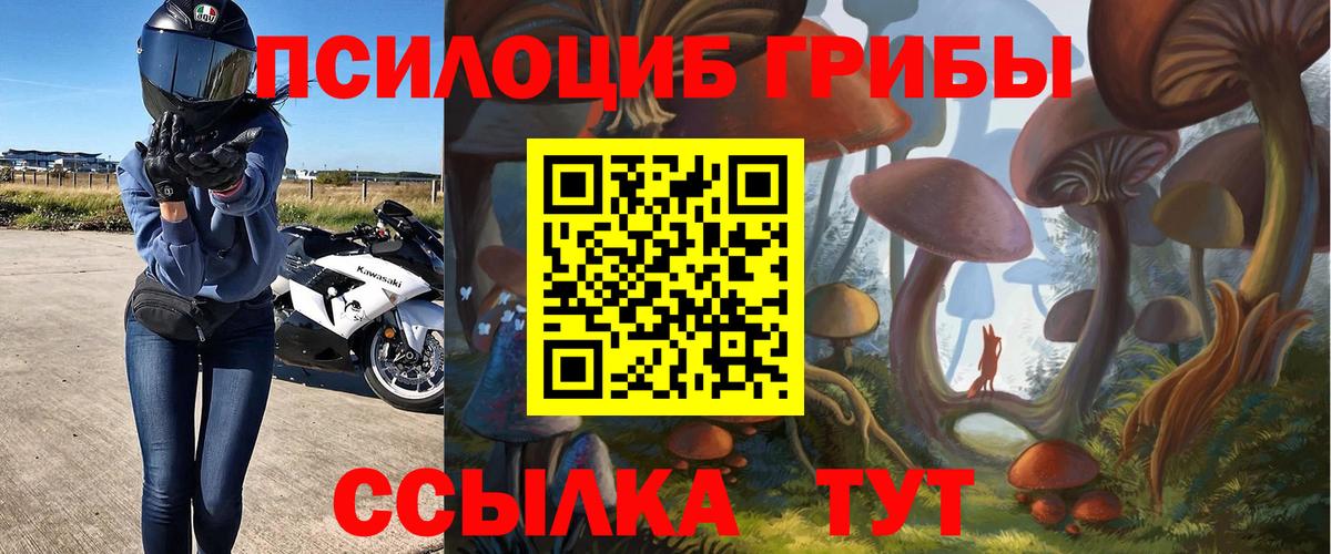 Псилоцибиновые грибы GOLDEN TEACHER Пятигорск